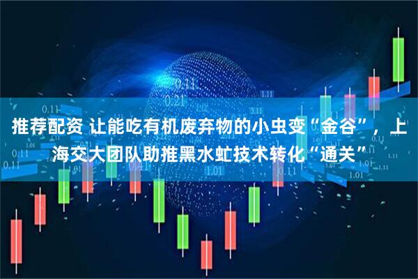 推荐配资 让能吃有机废弃物的小虫变“金谷”，上海交大团队助推黑水虻技术转化“通关”