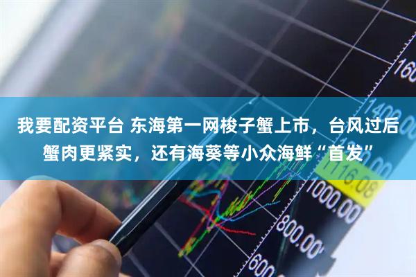 我要配资平台 东海第一网梭子蟹上市，台风过后蟹肉更紧实，还有海葵等小众海鲜“首发”